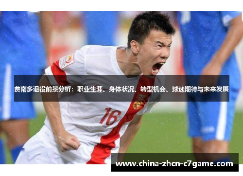 费南多退役前景分析:职业生涯、身体状况、转型机会、球迷期待与未来发展 费南多退役前景分析:职业生涯、身体状况、转型机会、球迷期待与未来发展