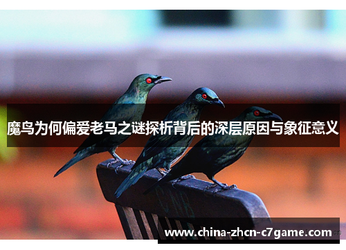 魔鸟为何偏爱老马之谜探析背后的深层原因与象征意义