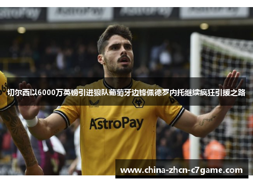 切尔西以6000万英镑引进狼队葡萄牙边锋佩德罗内托继续疯狂引援之路