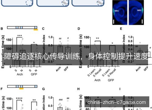 障碍追逐核心传导训练，身体控制提升速度